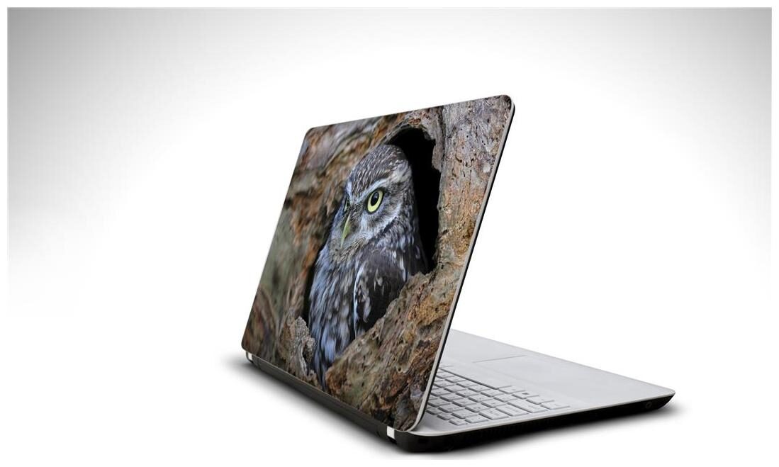 

Snooky Iron Men laptop 15 6 vinyl skin decal