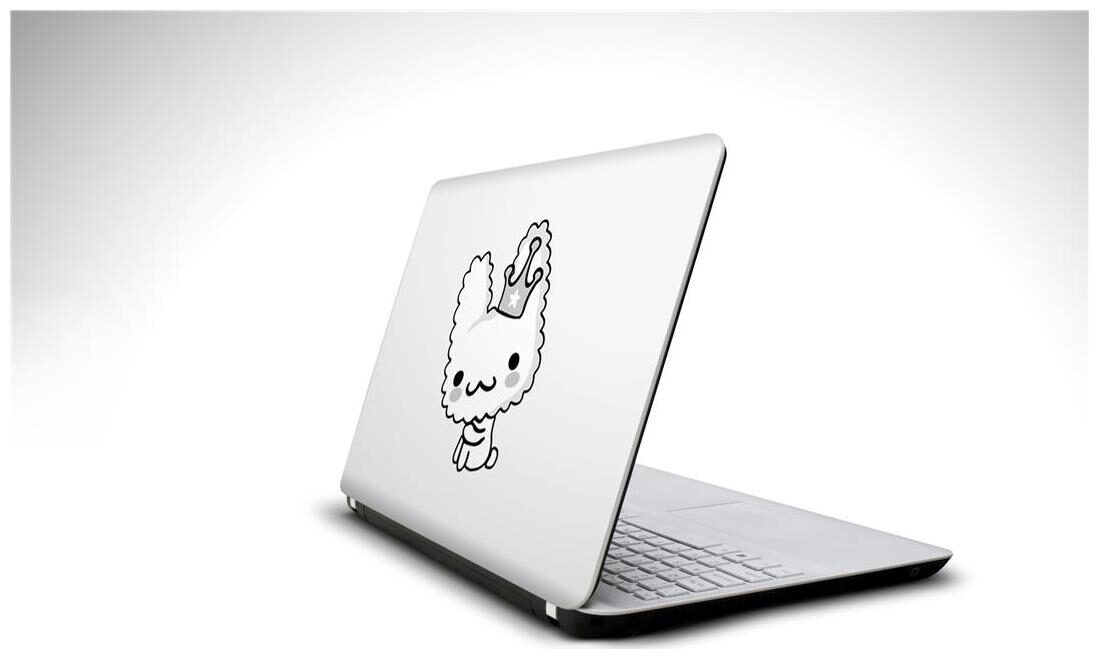 

Snooky Rocks Background laptop 15 6 vinyl skin decal