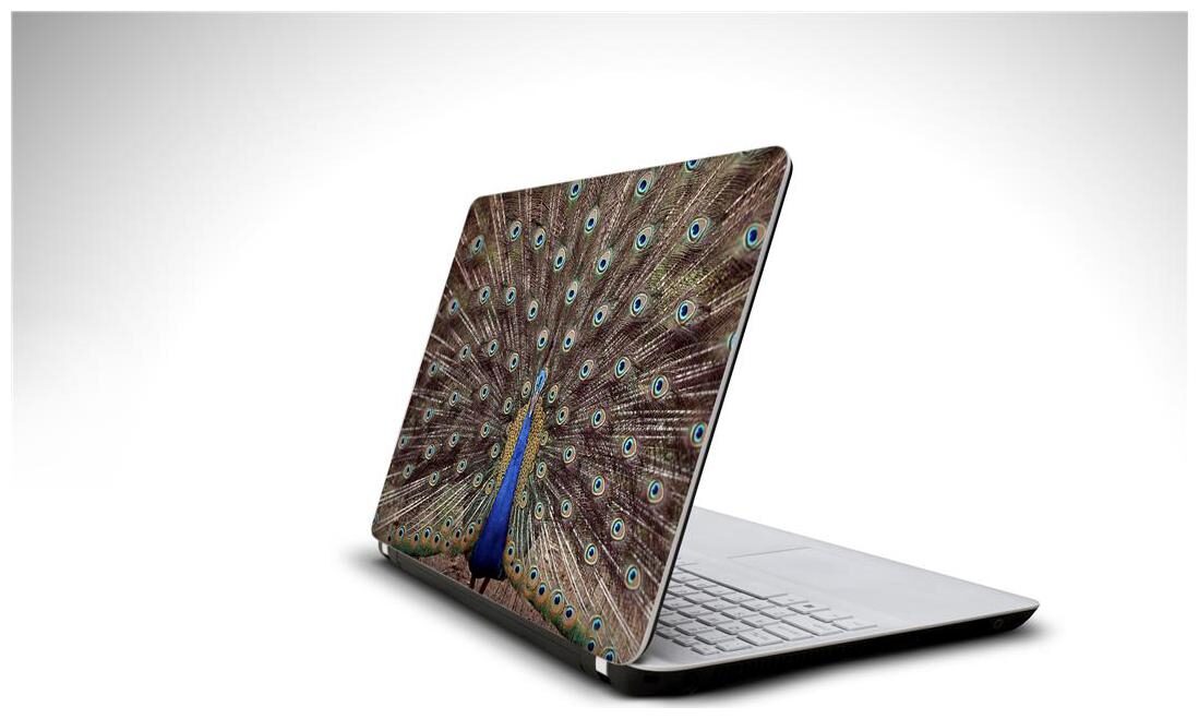 

Snooky Soldier Pilote laptop 15 6 vinyl skin decal