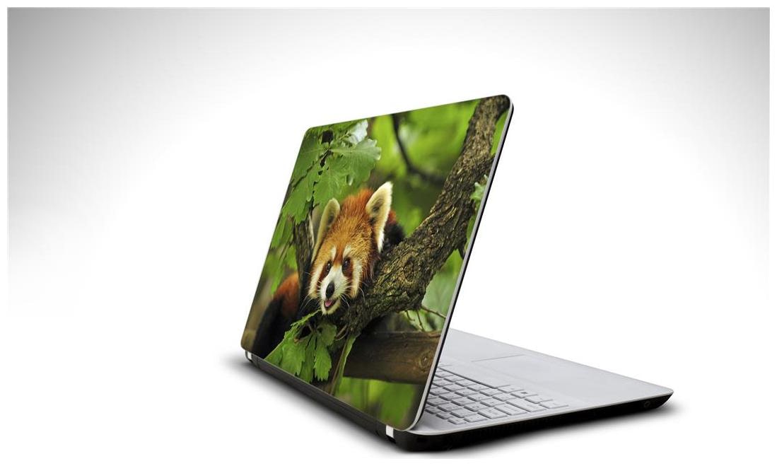 

Snooky Stairs laptop 15 6 vinyl skin decal