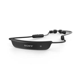 Sony SBH80 In-Ear Bluetooth Headset (Black)