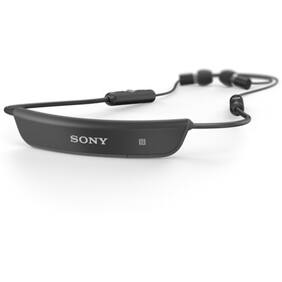 Sony SBH80 In-Ear Bluetooth Headset (Black)