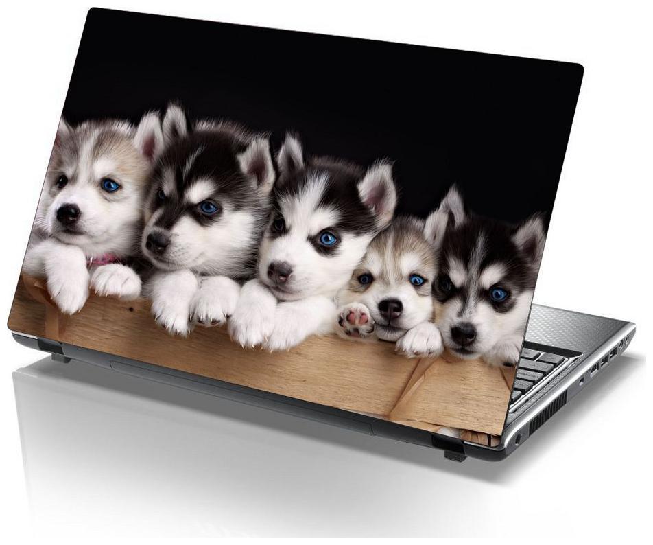 

Sticker Studio cute-heart Laptop Skin Sticker (PVC Vinyl Size- 38 1 cm (15 inch) x 25 4 cm (10 inch))