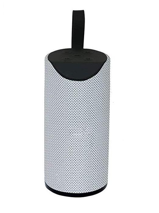 

WOCKEEZ TG-113 Bluetooth Portable speaker ( Silver )