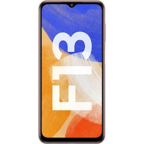 F13 (4/64GB)_SM-E135FIDDINS