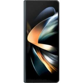 Galaxy Fold_SM-F900FZSDINU