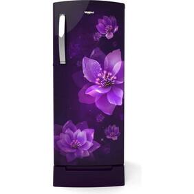 Whirlpool 215 IMPRO ROY 4S Inv PURPLE MULIA-Z