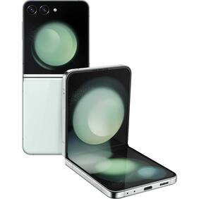 Z Flip5 (8/256GB)_F731BA_SM-F731BLGAINS