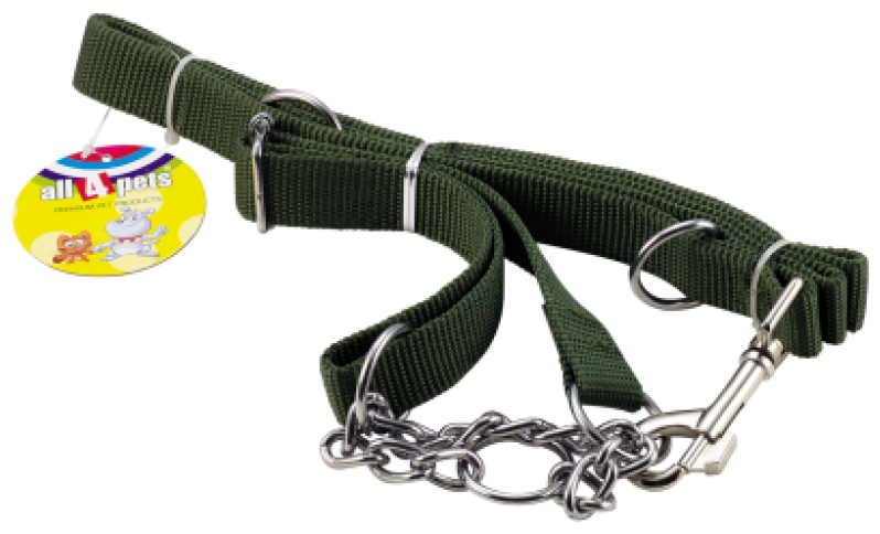 

1 LEASH WITH CHOKE COLLAR (PLAIN) (NYLON)