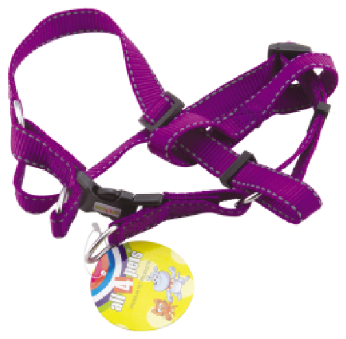 

3 4 HARNESS ( RADIUM STRIPE) (NYLON)