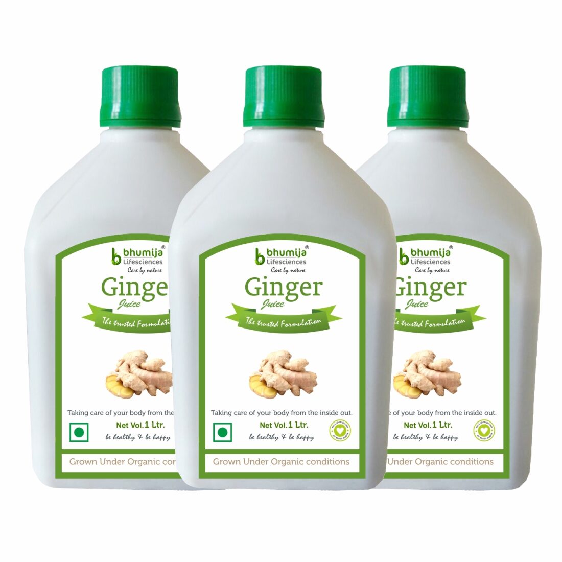 

BHUMIJA LIFESCIENCES Ginger Juice (Sugar Free) 1 L(Pack of 3)