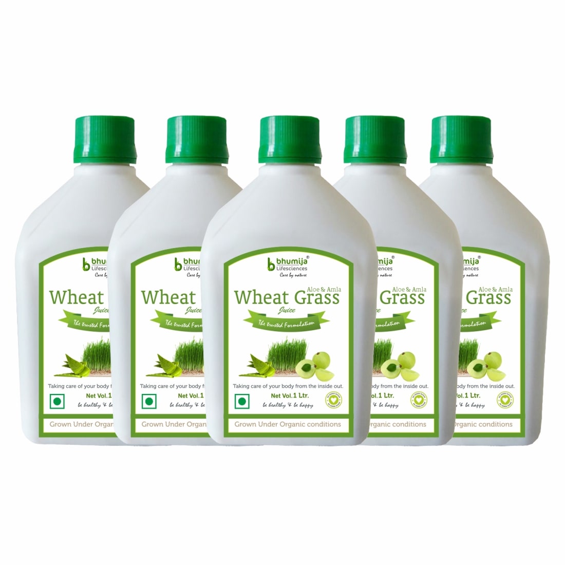 

BHUMIJA LIFESCIENCES Wheat Grass Juice (with Aloevera Amla) Sugar Free 1 L (Pack of 5) Immunity Immunity Booster
