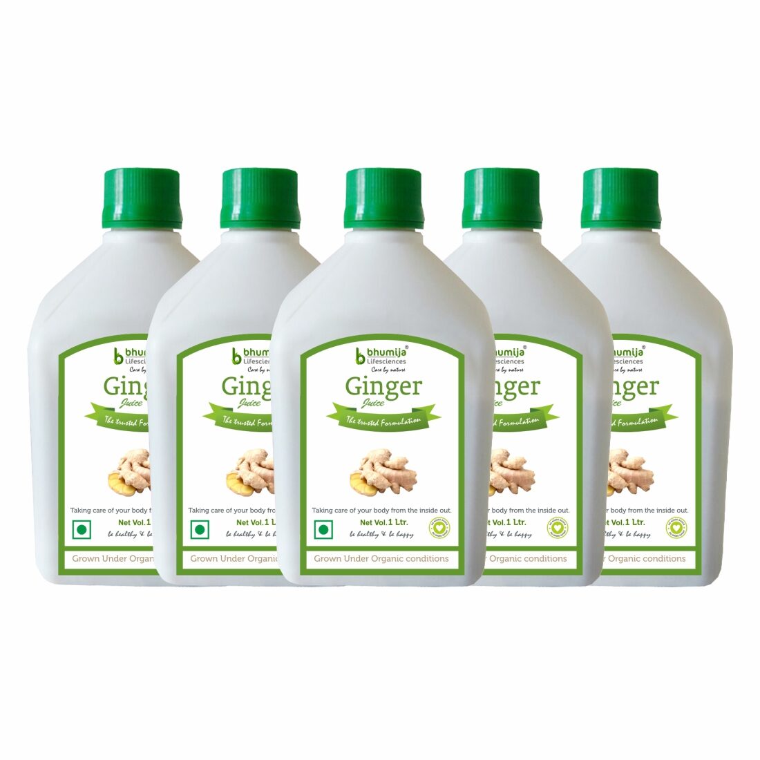 

BHUMIJA LIFESCIENCES Ginger Juice (Sugar Free) 1 L(Pack of 5)