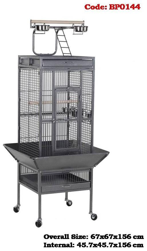 

Bird Cage Imported for Grey Parrot Sun Conure Eclectus Lovebird Cockatiels with Play TOP