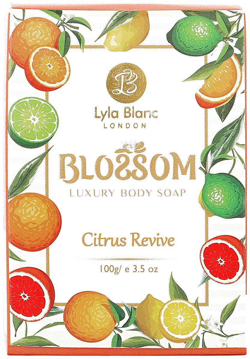 

BLOSSOM Citrus Revive Soap 100 g (Pack of 6)