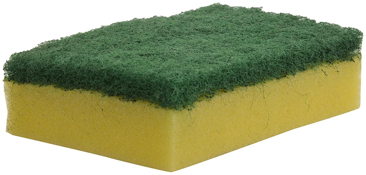 

Brite Guard Polyester Multipurpose Scrub Sponge Green (Pack of 30)
