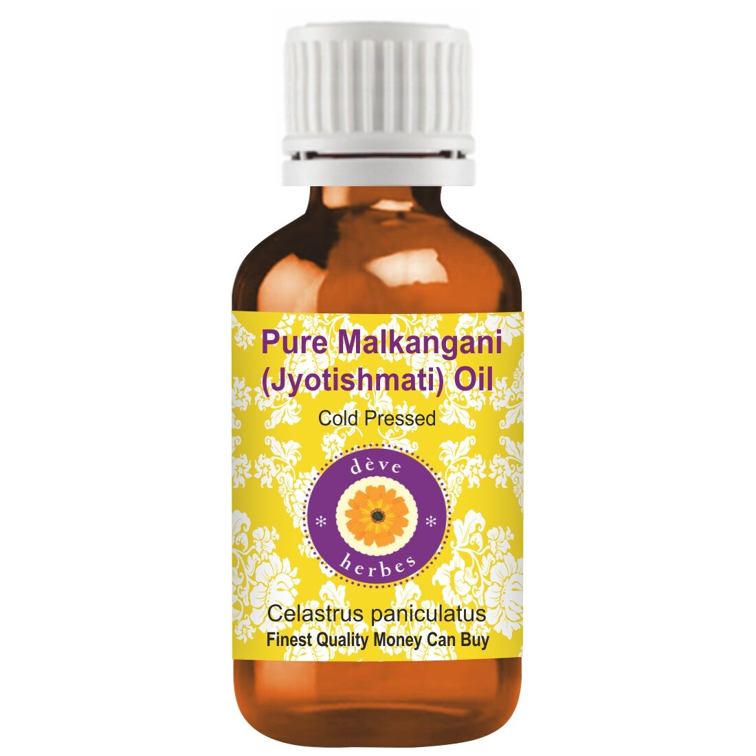 

Deve Herbes Pure Malkangani Jyotishmati Oil Celastrus paniculatus Natural Premium Grade Cold Pressed for Personal Care 100 ml (Pack of 1)