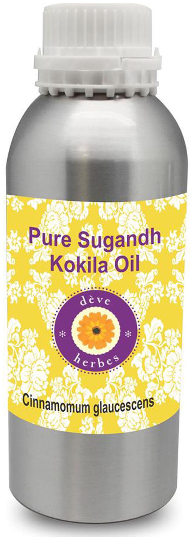 

Deve Herbes Pure Sugandh Kokila Oil (Cinnamomum glaucescens) 100 Natural Therapeutic Grade 300ml