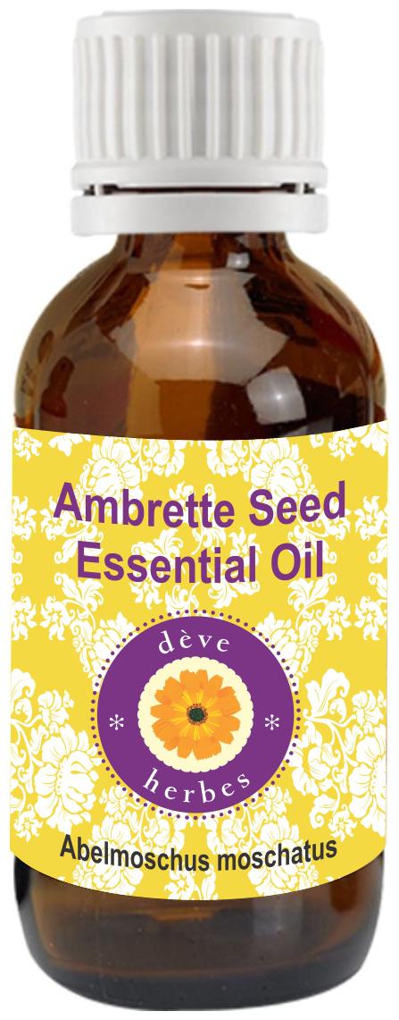 

Deve Herbes Pure Ambrette Seed Essential Oil ( Abelmoschus moschatus) 100 Natural Therapeutic Grade Steam Distilled 2ml