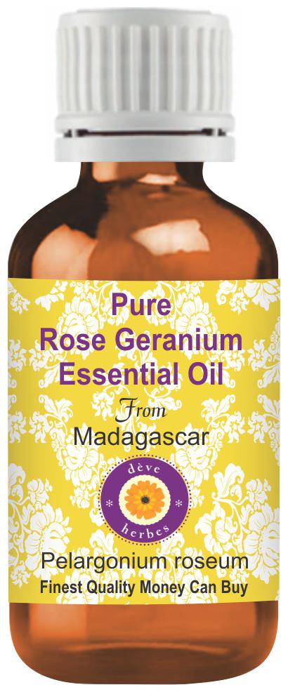 

Deve Herbes Pure Rose Geranium Essential Oil (Pelargonium roseum) 100 Natural Therapeutic Grade Steam Distilled 15ml