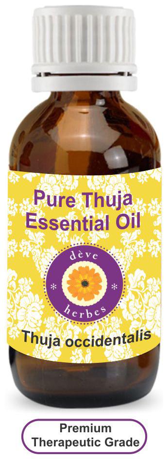 

Deve Herbes Pure Thuja Essential Oil (Thuja occidentalis) 100 Natural Therapeutic Grade Steam Distilled 30ml