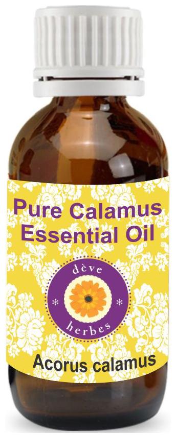 

Deve Herbes Pure Calamus Essential Oil (Acorus calamus) 100 Natural Therapeutic Grade Steam Distilled 15ml
