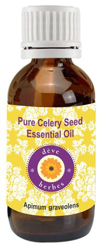 

Deve Herbes Pure Celery Seed Essential Oil (Apium graveolens) 100 Natural Therapeutic Grade Steam Distilled 15ml