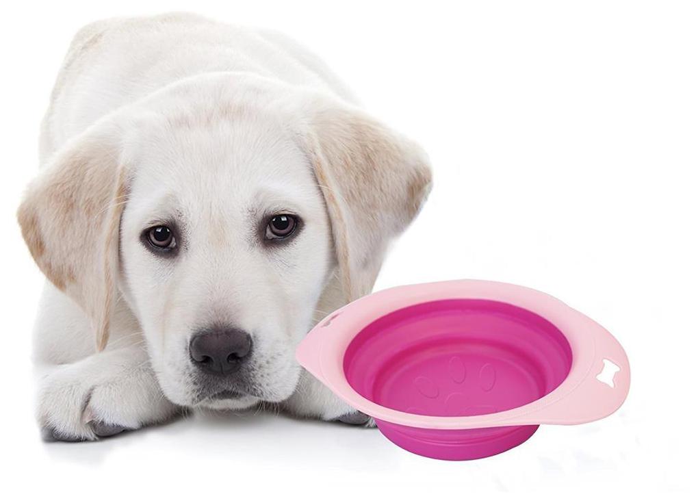 

Dog Travel Bowl Blue - Small Foldable Lightweight Pet Bowl For Food Water Ideal For Walking Hiking Camping Travelling- Size Small 1 Piece Color May Vary
