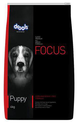 

Drools Dog Food - Super Premium Focus Puppy 4 kg