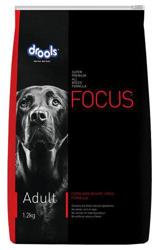 

Drools Dog Food - Super Premium Focus Adult 1 2 kg