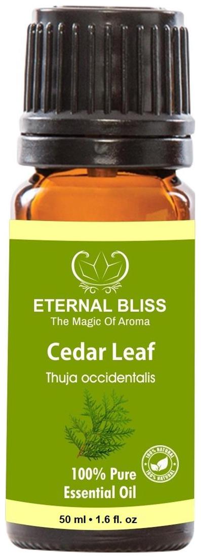 

Eternal Bliss Cedar Leaf Essential Oil 100 Pure Undiluted (50 ml)