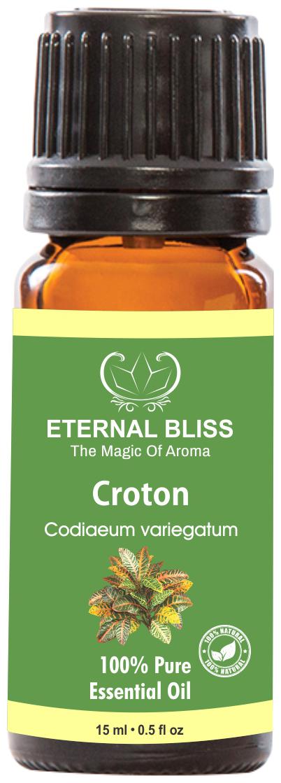 

Eternal Bliss Croton Essential Oil - Pure Natural Undiluted For Skin Care Hair Care(15 ml)
