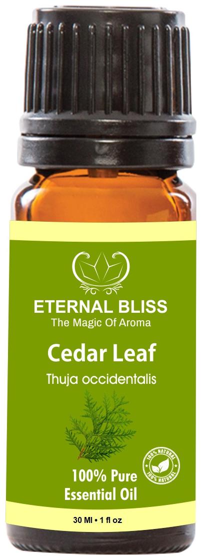 

Eternal Bliss Cedar Leaf Essential Oil 100 Pure Undiluted (30 ml)