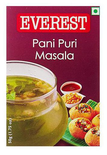 

Everest Masala - Pani Puri 50 g