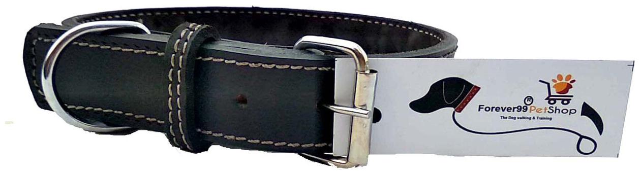 

Forever99 Collars Leads XL Pack of 1