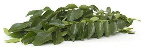 

Fresho Fresh Curry Leaves 250g
