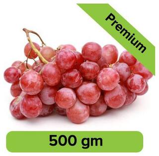 Buy Fresho Grapes Red Globe Imported 500 G Online At Low Prices In India Paytmmall Com Home » india agriculture » fruits map » map of grape producing states in india. fresho grapes red globe imported 500 g