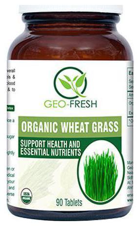 

GEO FRESH Tablets Organic Wheat Grass 500 mg 90 Tablets