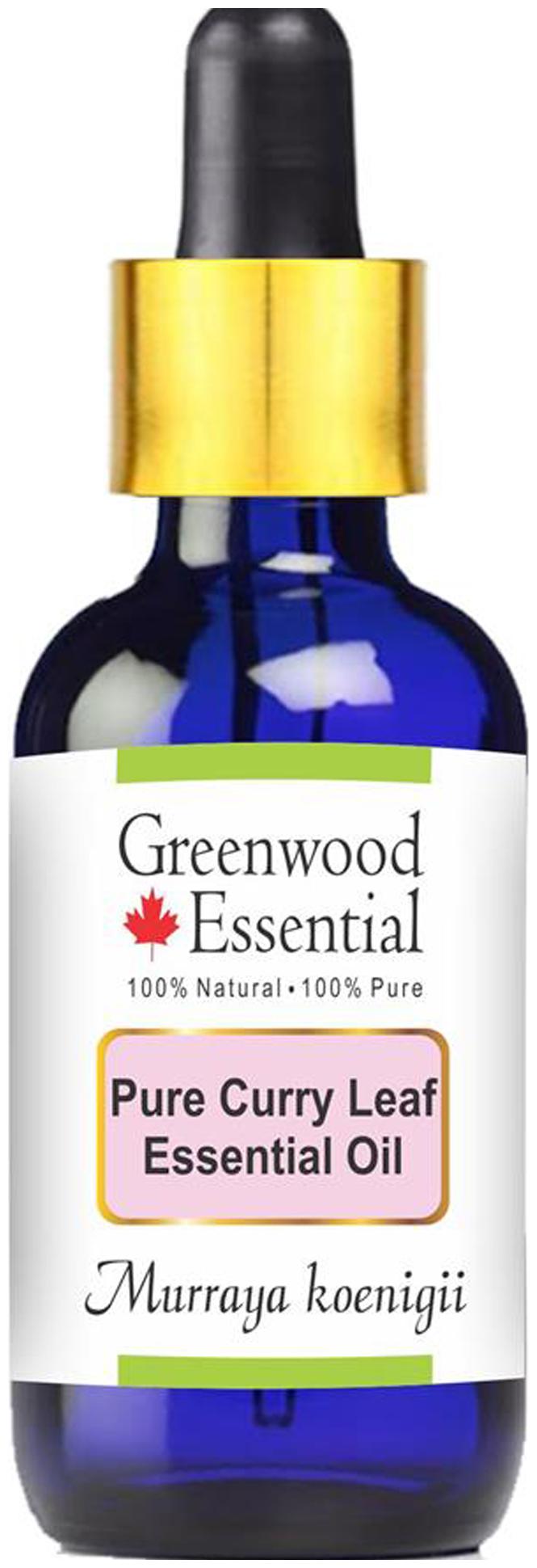 

Greenwood Essential Pure Curry Leaf (Patta) Essential Oil (Murraya koenigii) with Glass Dropper 100 Natural Therapeutic Grade Steam Distilled 15ml
