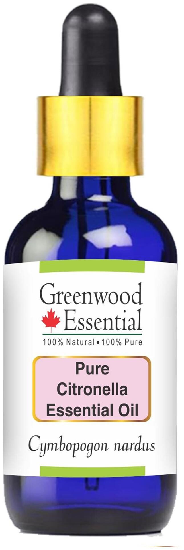 

Greenwood Essential Pure Citronella Essential Oil (Cymbopogon nardus) with Glass Dropper 100 Natural Therapeutic Grade Steam Distilled 50ml