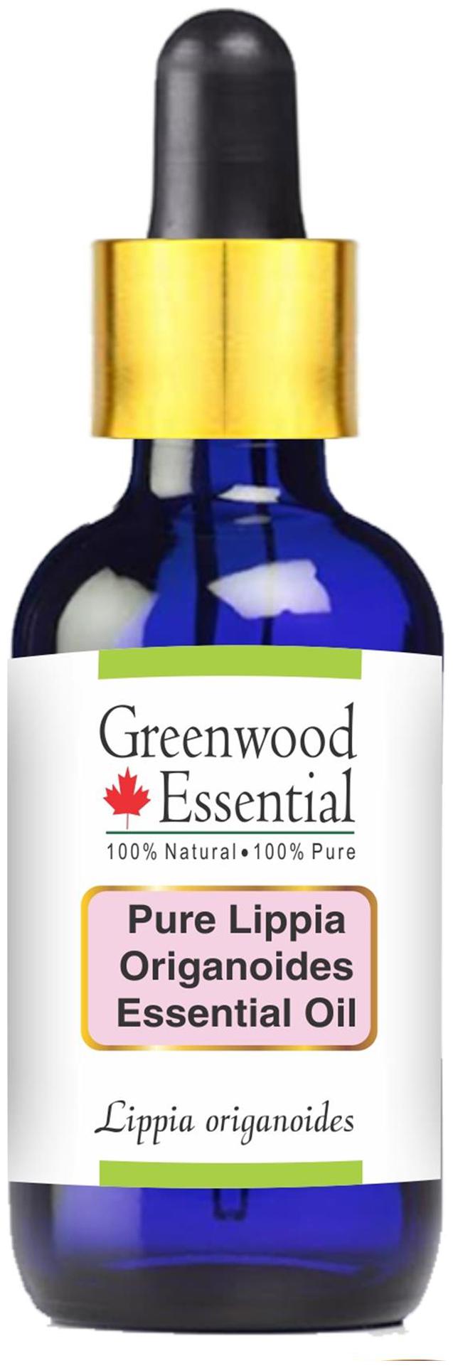 

Greenwood Essential Pure Lippia Origanoides Essential Oil (Lippia origanoides) with Glass Dropper 100 Natural Therapeutic Grade Steam Distilled 100ml
