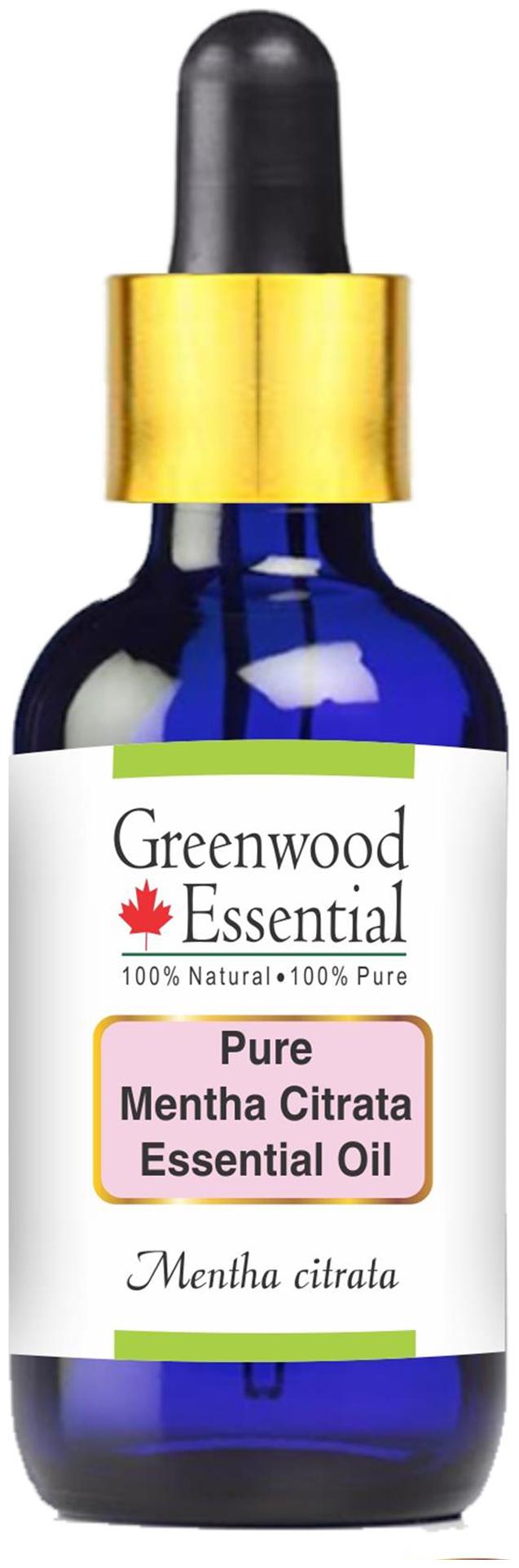 

Greenwood Essential Pure Mentha Citrata Essential Oil (Mentha citrata) with Glass Dropper 100 Natural Therapeutic Grade Steam Distilled 100ml