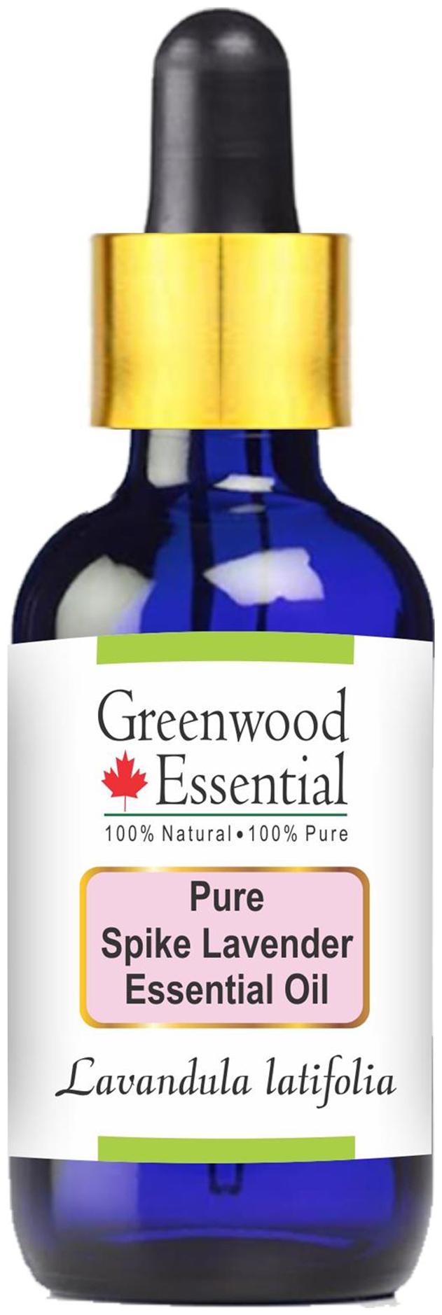 

Greenwood Essential Pure Spike Lavender Essential Oil (Lavandula latifolia) with Glass Dropper 100 Natural Therapeutic Grade Steam Distilled 50ml
