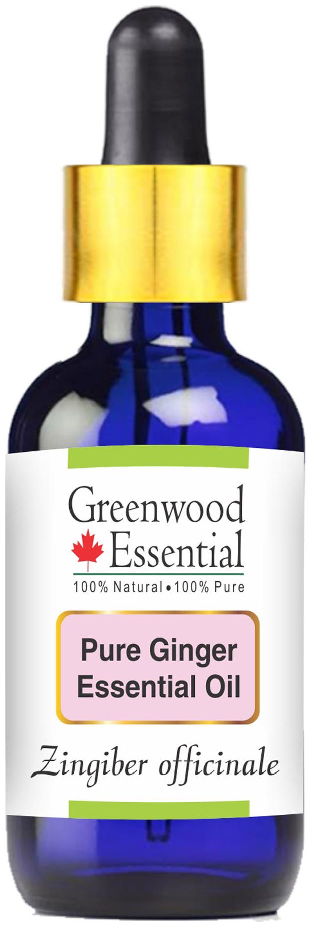 

Greenwood Essential Pure Ginger Essential Oil (Zingiber officinale) with Glass Dropper 100 Natural Therapeutic Grade Steam Distilled 30ml