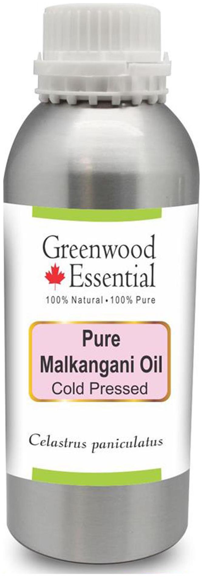 

Greenwood Essential Pure Malkangani (Malkangni Jyotishmati) Oil (Celastrus paniculatus) 100 Natural Therapeutic Grade Cold Pressed 630ml