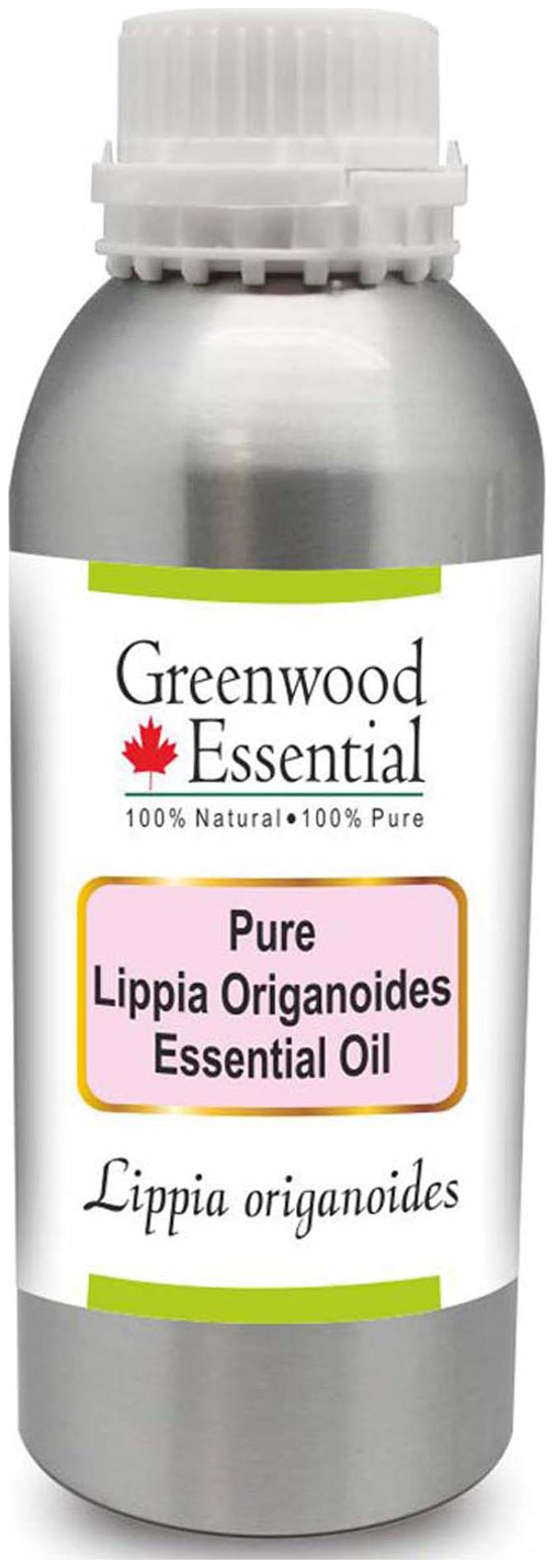 

Greenwood Essential Pure Lippia Origanoides Essential Oil (Lippia origanoides) 100 Natural Therapeutic Grade Steam Distilled 300ml
