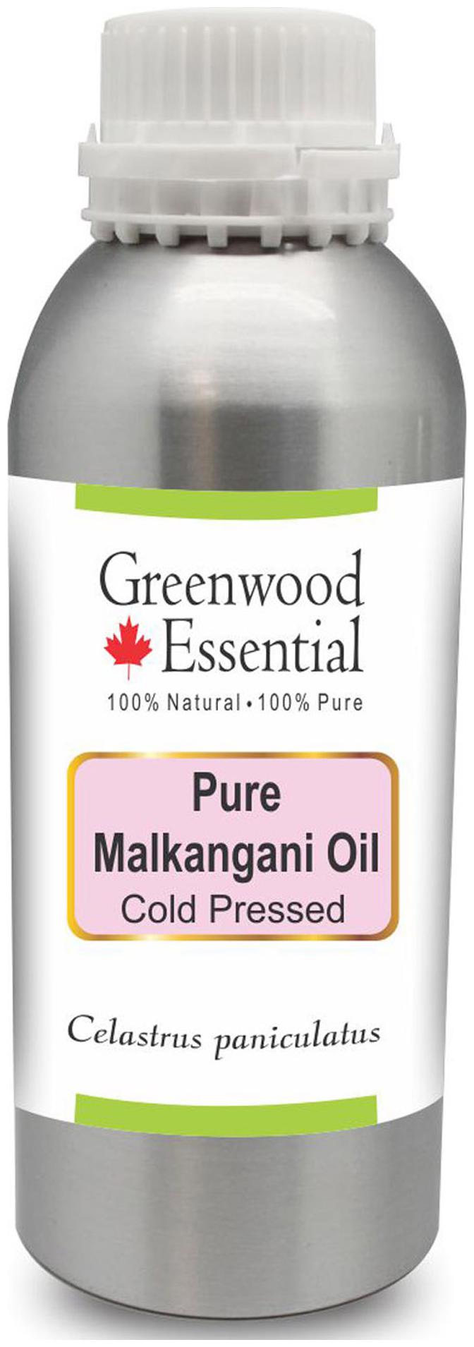 

Greenwood Essential Pure Malkangani (Malkangni Jyotishmati) Oil (Celastrus paniculatus) 100 Natural Therapeutic Grade Cold Pressed 630ml
