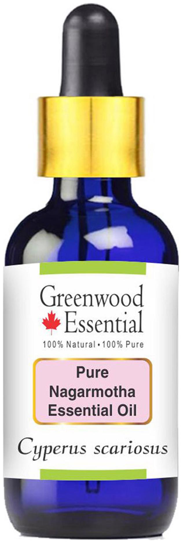 

Greenwood Essential Pure Nagarmotha Essential Oil (Cyperus scariosus) with Glass Dropper 100 Natural Therapeutic Grade Steam Distilled 100ml