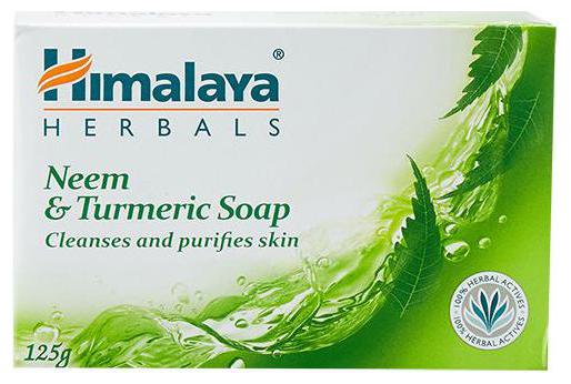 

Himalaya Neem Turmeric Soap 125 g
