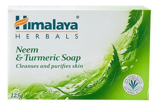 

Himalaya Neem Turmeric Soap 125 g